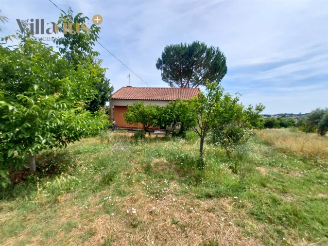 Moradia T2 para Venda em Madalena e Beselga Foto 10