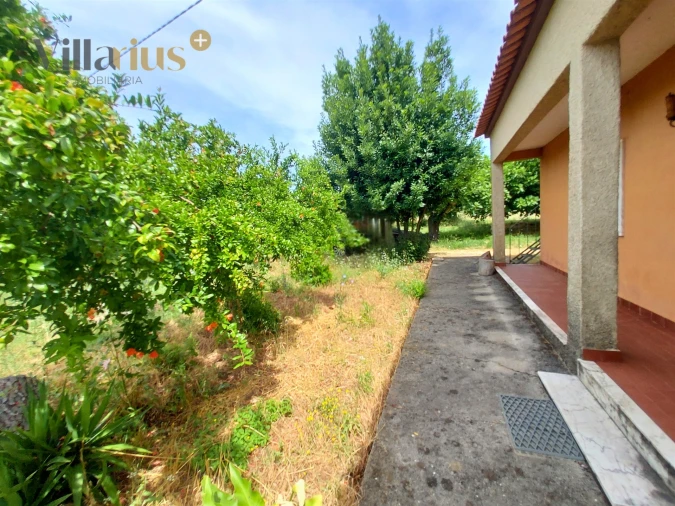 Moradia T2 para Venda em Madalena e Beselga Foto 8