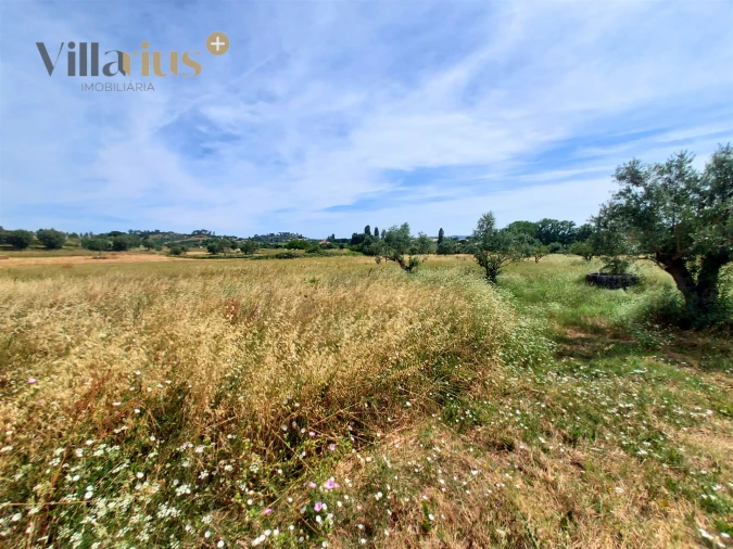 Moradia T2 para Venda em Madalena e Beselga Foto 13