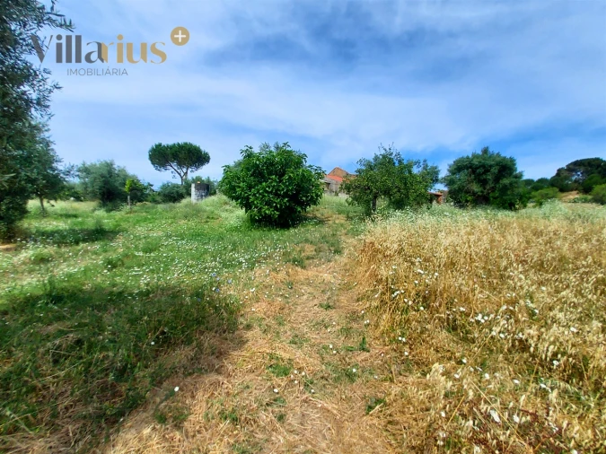 Moradia T2 para Venda em Madalena e Beselga Foto 16