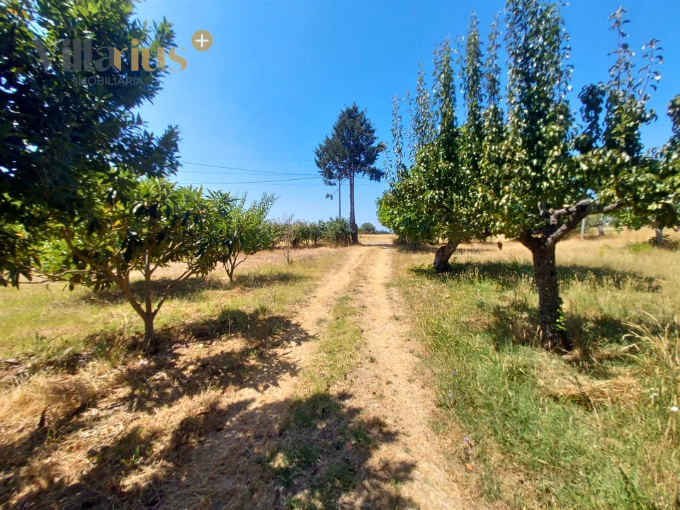 Moradia T2 para Venda em Madalena e Beselga Foto 34