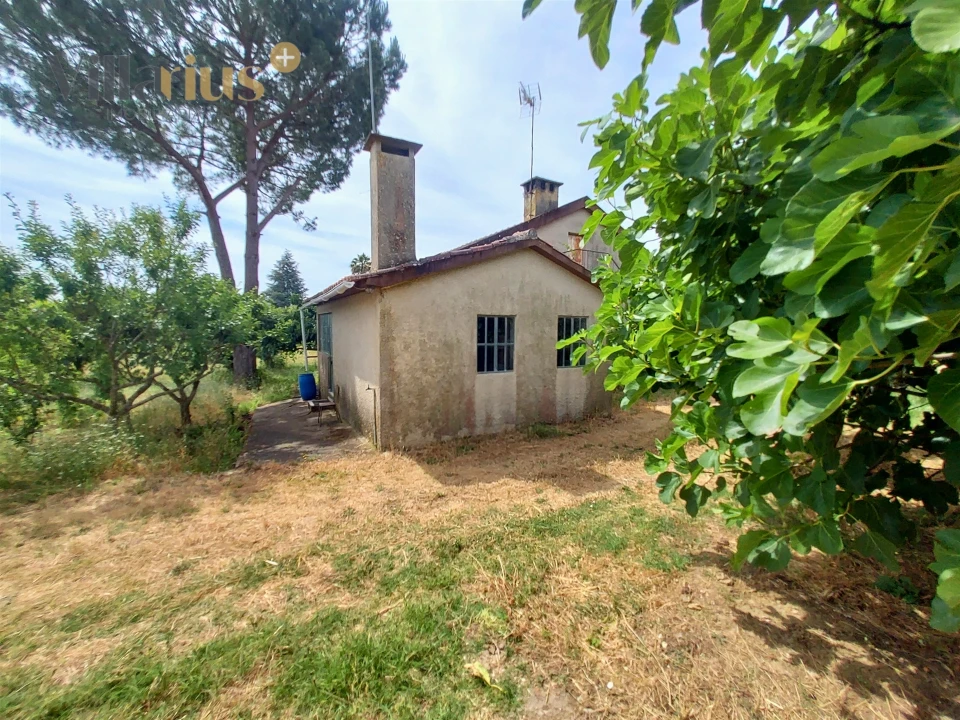 Moradia T2 para Venda em Madalena e Beselga Foto 3