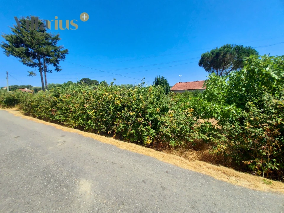 Moradia T2 para Venda em Madalena e Beselga Foto 35