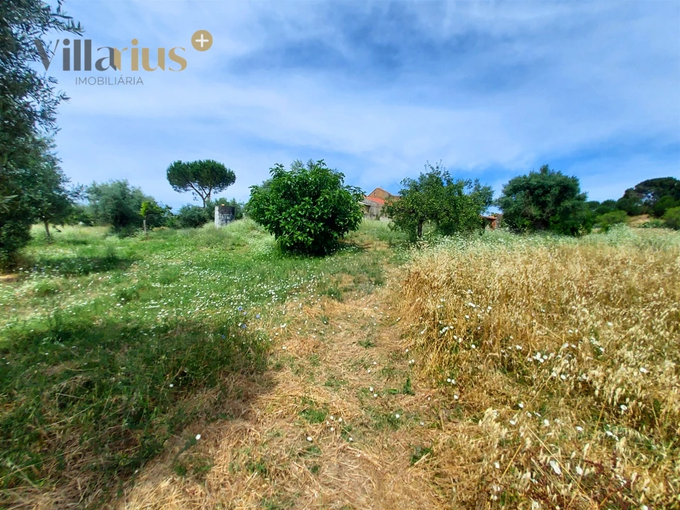 Moradia T2 para Venda em Madalena e Beselga Foto 16