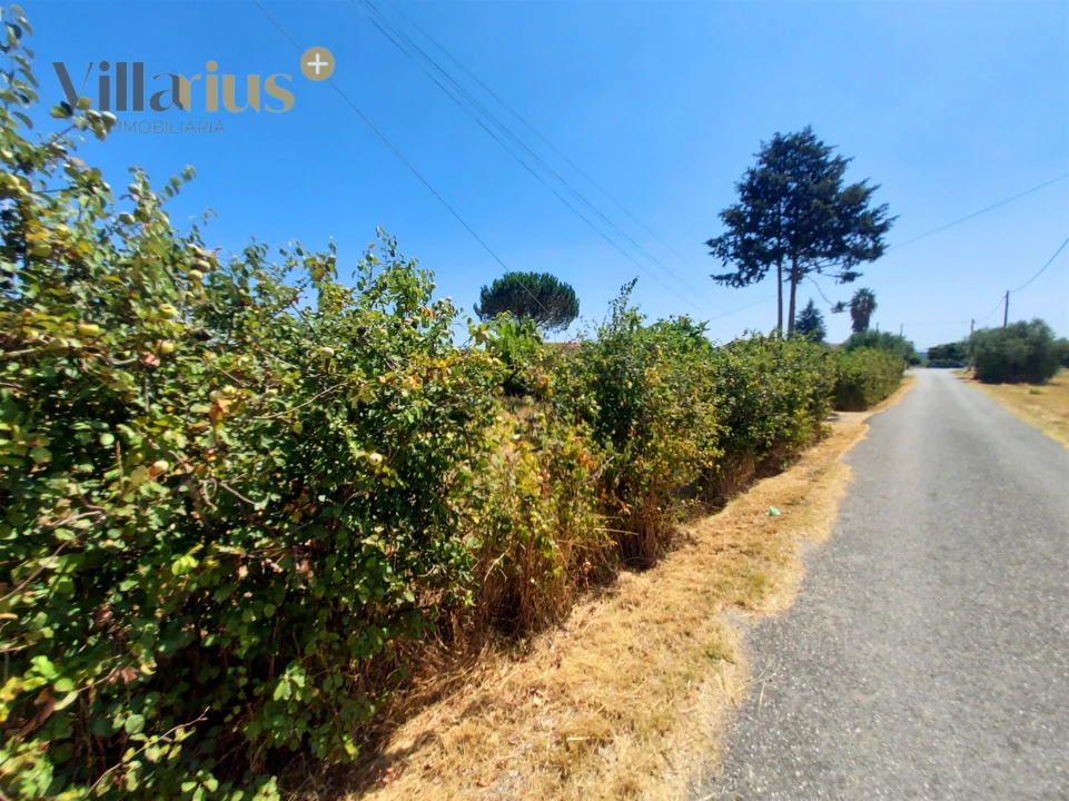 Moradia T2 para Venda em Madalena e Beselga Foto 37