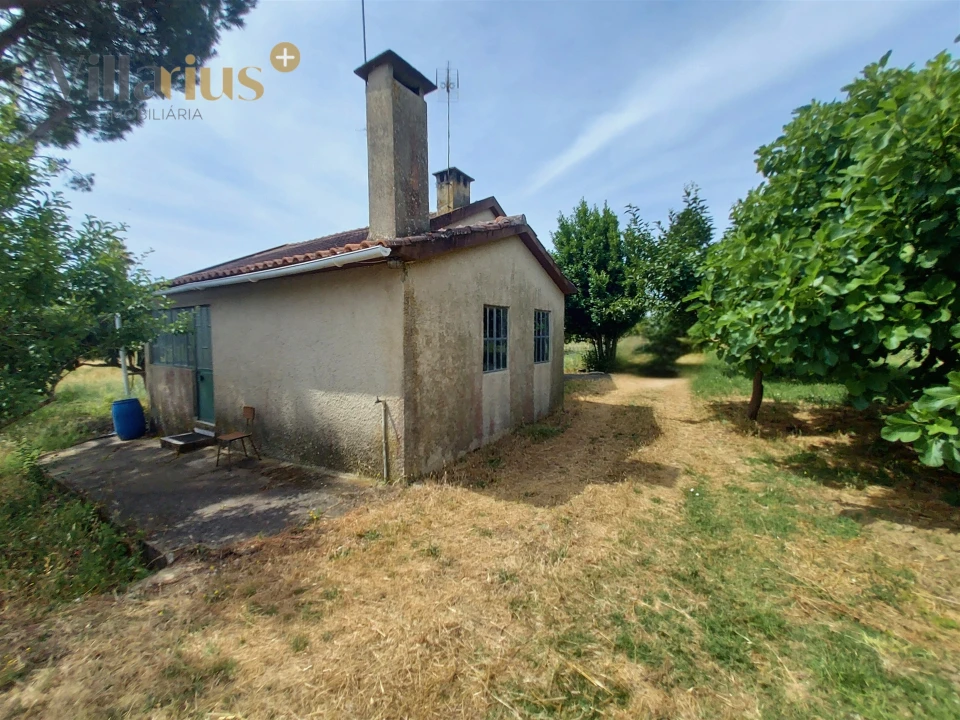 Moradia T2 para Venda em Madalena e Beselga Foto 4