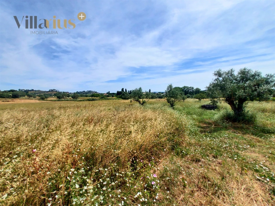 Moradia T2 para Venda em Madalena e Beselga Foto 12