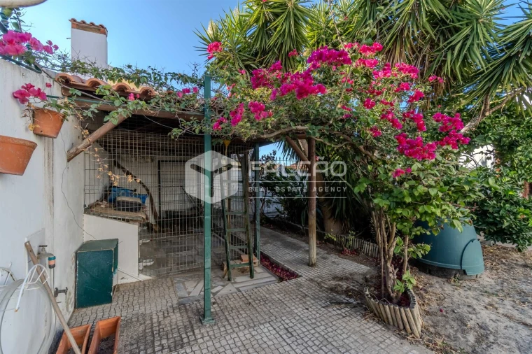 Moradia T4 para Venda em Alpiarça Foto 39