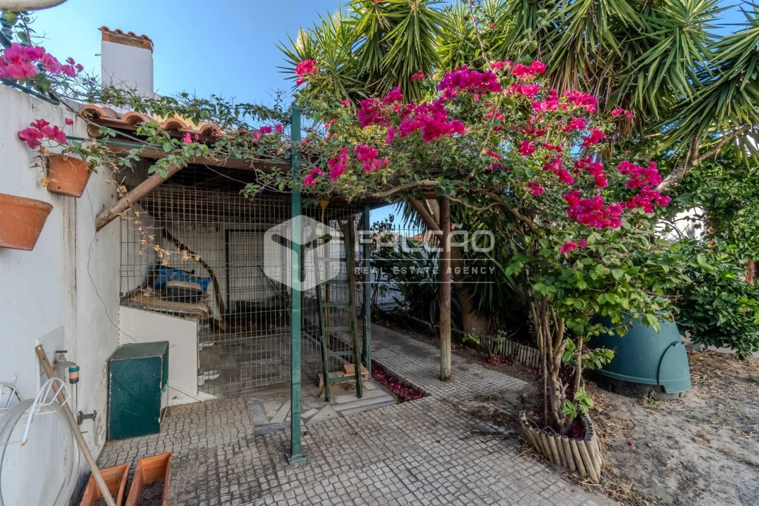 Moradia T4 para Venda em Alpiarça Foto 39