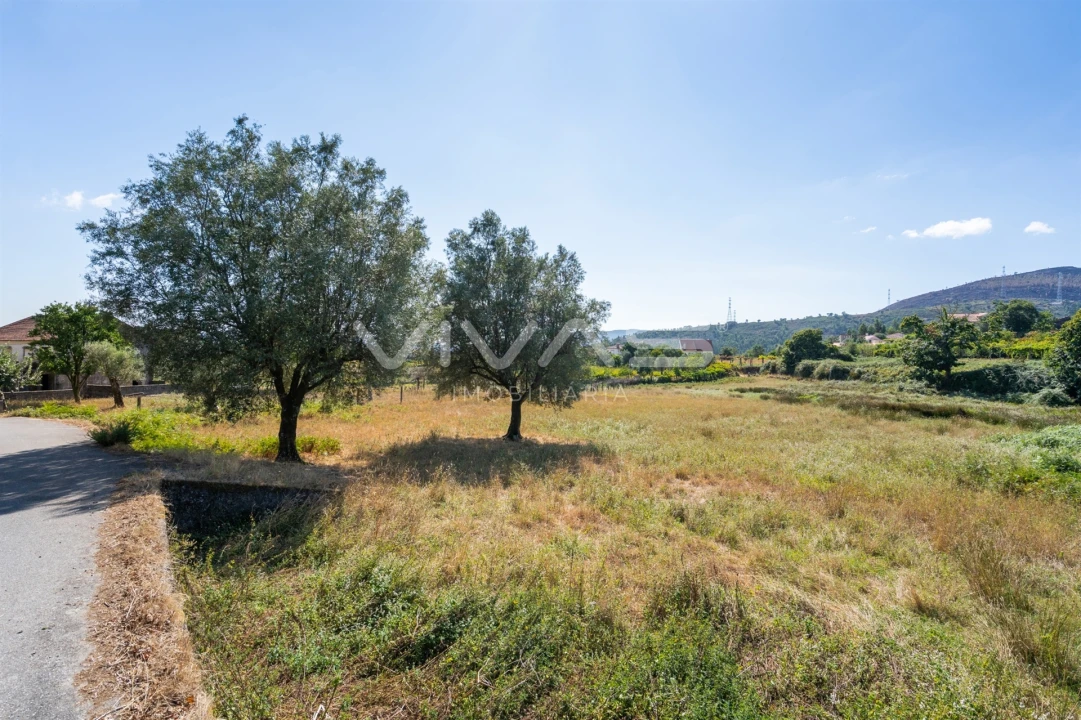 Terreno Agricola ou Rústico para Venda em Cabaços e Fojo Lobal Foto 12