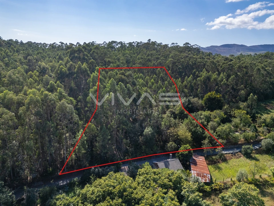 Terreno Agricola ou Rústico para Venda em Cabaços e Fojo Lobal Foto 5