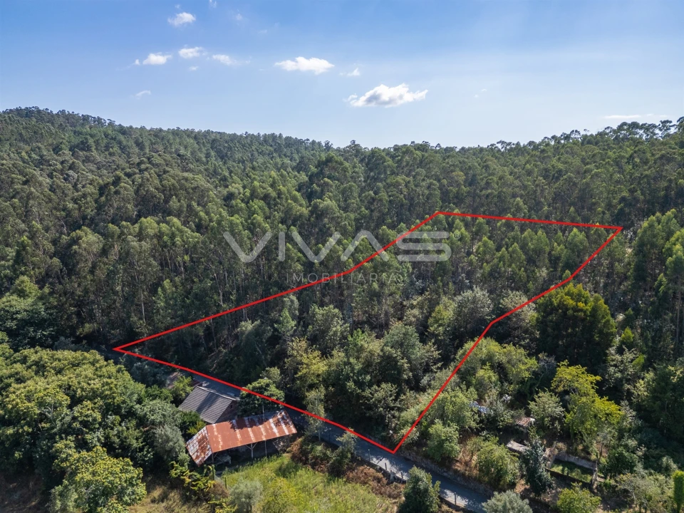 Terreno Agricola ou Rústico para Venda em Cabaços e Fojo Lobal Foto 3