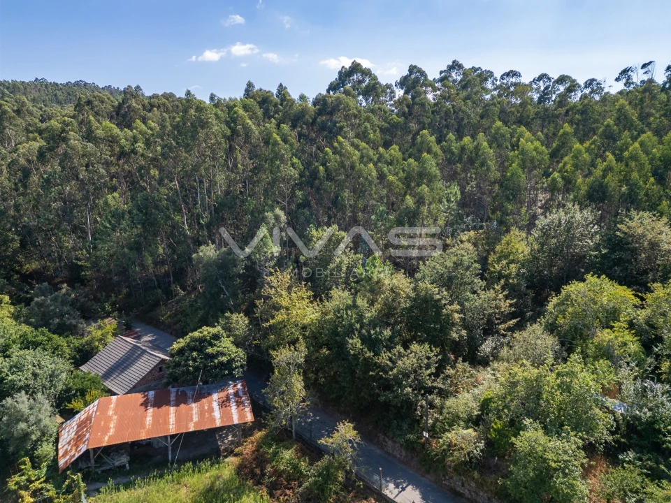 Terreno Agricola ou Rústico para Venda em Cabaços e Fojo Lobal Foto 6