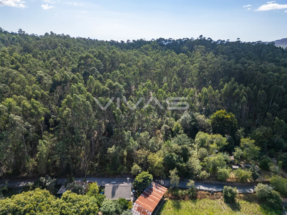 Terreno Agricola ou Rústico para Venda em Cabaços e Fojo Lobal Foto 7