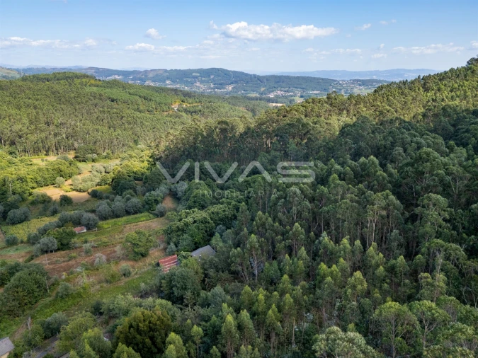 Terreno Agricola ou Rústico para Venda em Cabaços e Fojo Lobal Foto 9