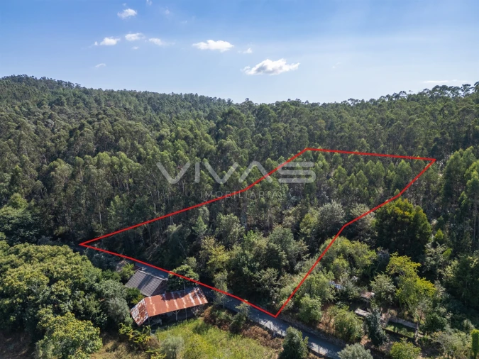 Terreno Agricola ou Rústico para Venda em Cabaços e Fojo Lobal Foto 3