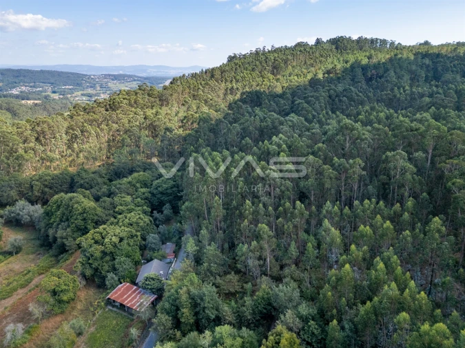Terreno Agricola ou Rústico para Venda em Cabaços e Fojo Lobal Foto 8