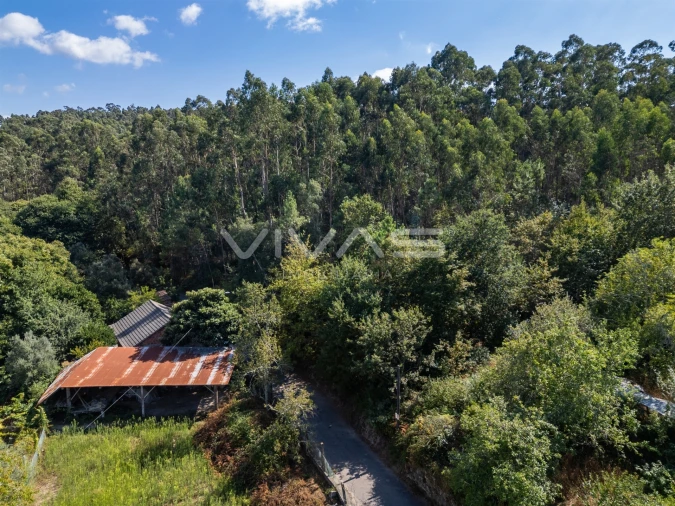 Terreno Agricola ou Rústico para Venda em Cabaços e Fojo Lobal Foto 12