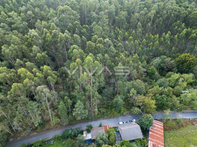 Terreno Agricola ou Rústico para Venda em Cabaços e Fojo Lobal Foto 10
