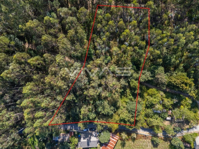 Terreno Agricola ou Rústico para Venda em Cabaços e Fojo Lobal Foto 4