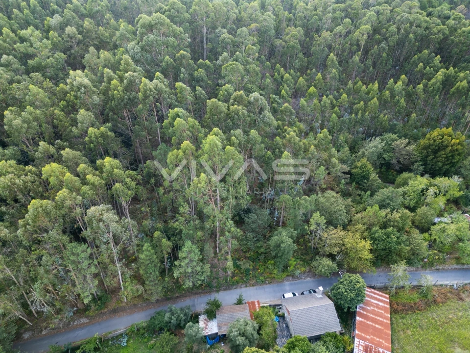 Terreno Agricola ou Rústico para Venda em Cabaços e Fojo Lobal Foto 10