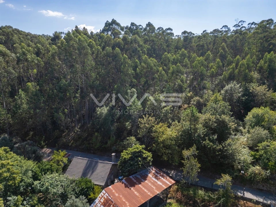 Terreno Agricola ou Rústico para Venda em Cabaços e Fojo Lobal Foto 11