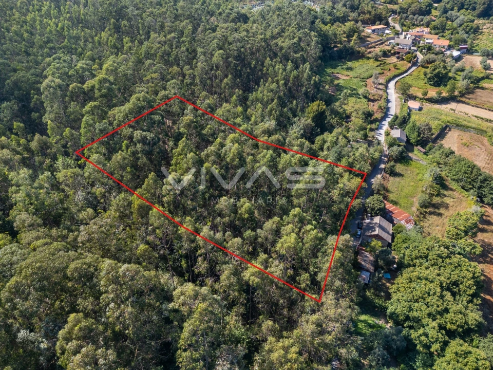 Terreno Agricola ou Rústico para Venda em Cabaços e Fojo Lobal Foto 2