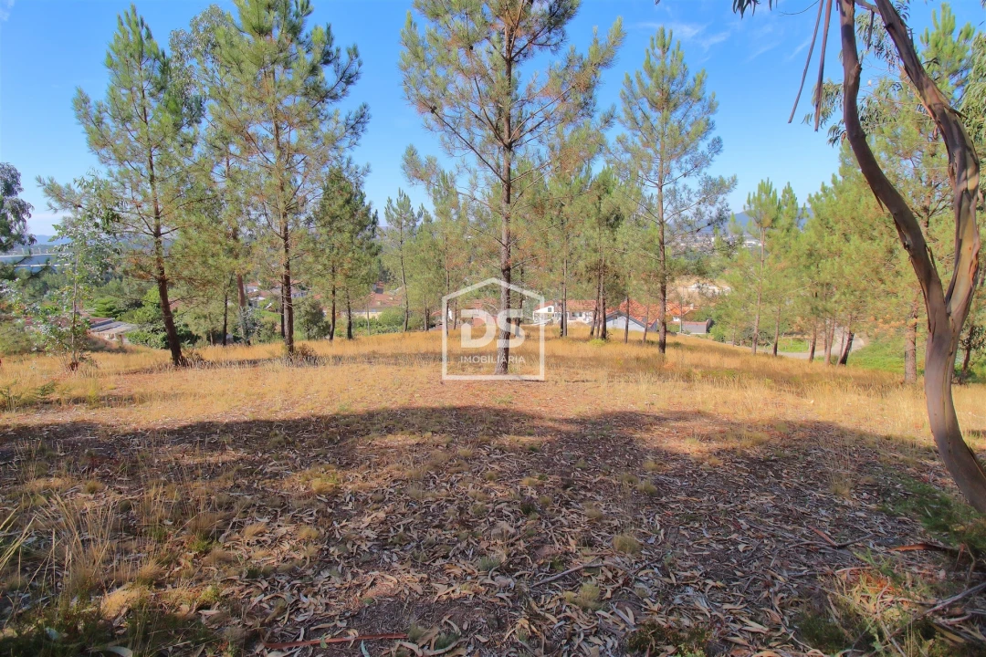 Terreno para Venda em Gandra Foto 7