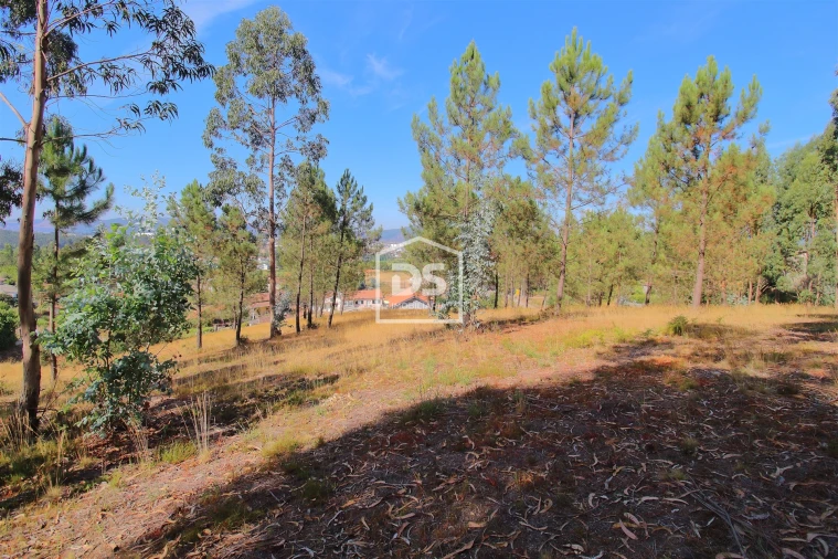 Terreno para Venda em Gandra Foto 10