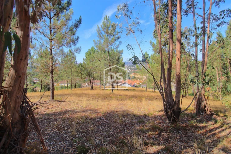 Terreno para Venda em Gandra Foto 8