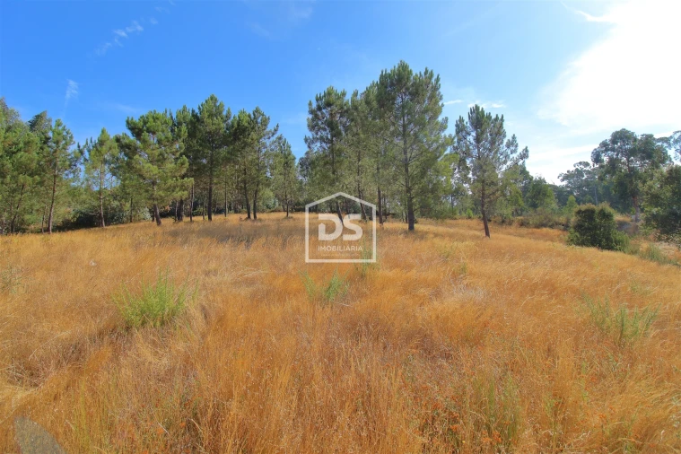Terreno para Venda em Gandra Foto 5
