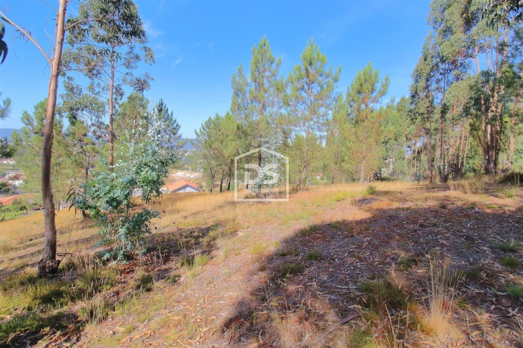 Terreno para Venda em Gandra Foto 11