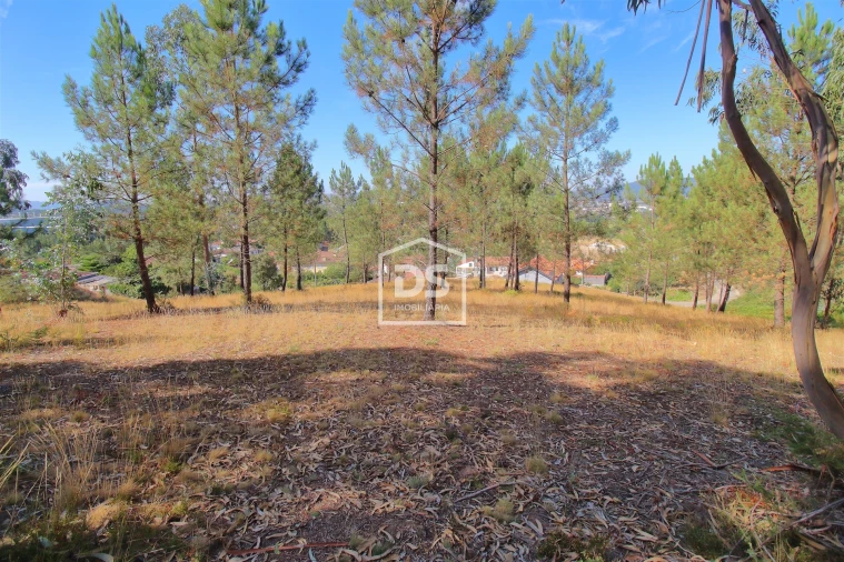 Terreno para Venda em Gandra Foto 7