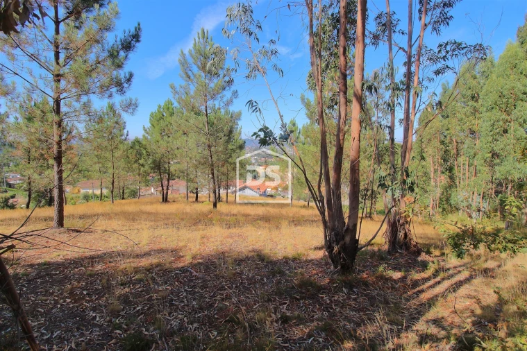 Terreno para Venda em Gandra Foto 9