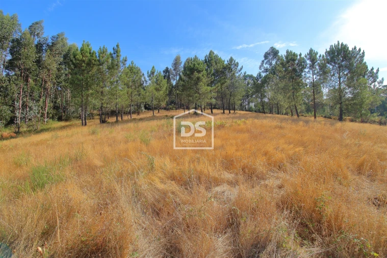 Terreno para Venda em Gandra Foto 3