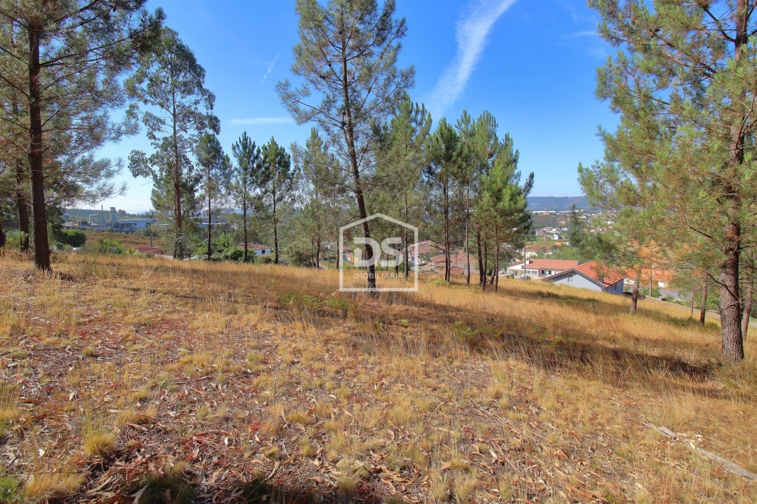 Terreno para Venda em Gandra Foto 1