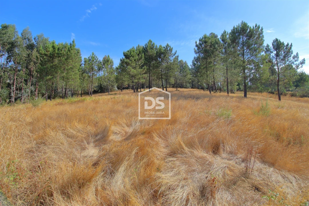 Terreno para Venda em Gandra Foto 4