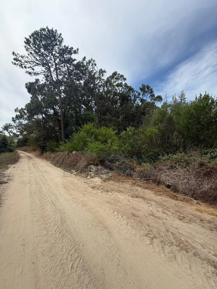 Terreno para Venda em Apúlia e Fão Foto 4