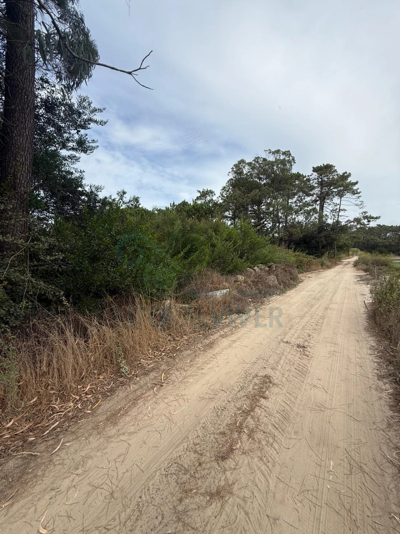 Terreno para Venda em Apúlia e Fão Foto 2