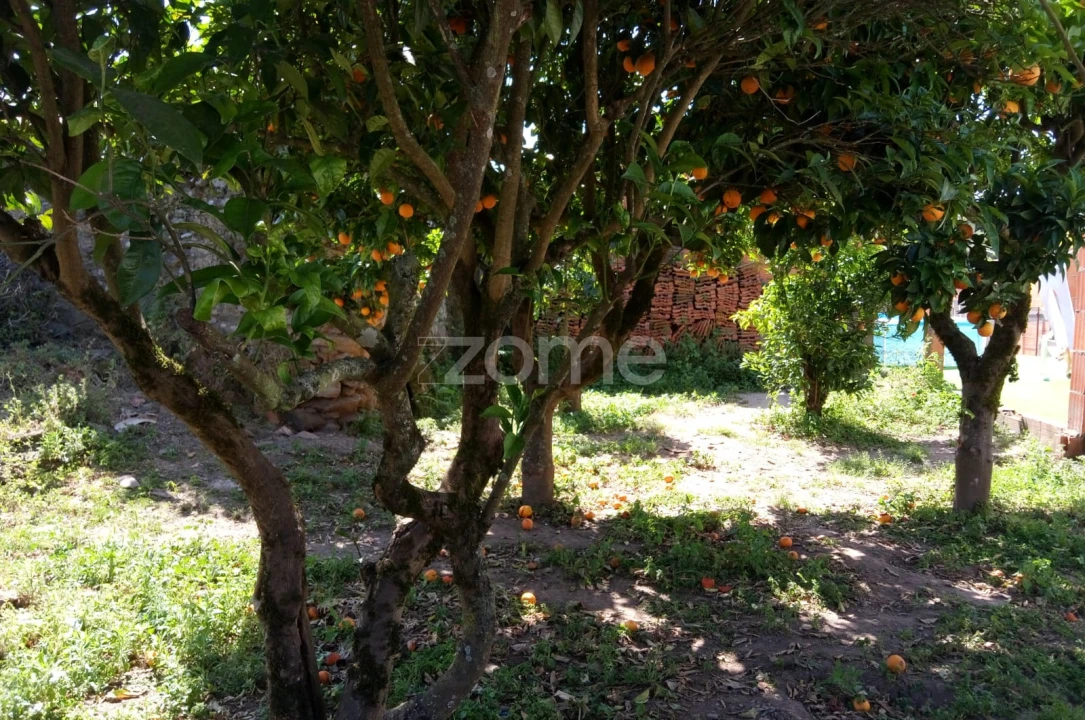 Moradia T3 para Venda em Casais e Alviobeira Foto 4