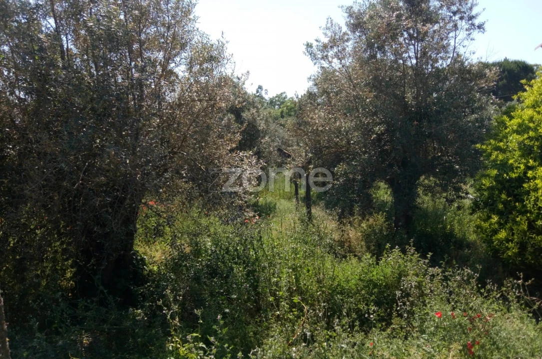 Moradia T3 para Venda em Casais e Alviobeira Foto 20