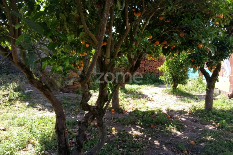 Moradia T3 para Venda em Casais e Alviobeira Foto 4