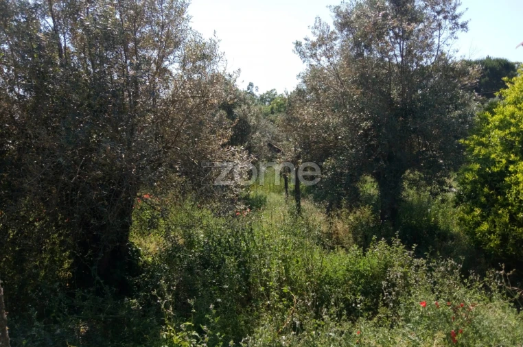 Moradia T3 para Venda em Casais e Alviobeira Foto 20