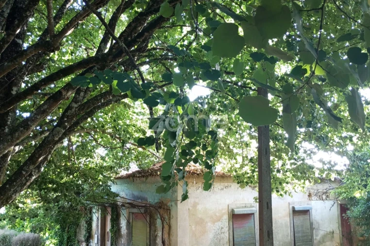 Quinta T7 para Venda em Figueiró dos Vinhos e Bairradas Foto 12