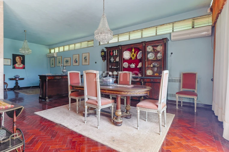 Quinta T7 para Venda em Figueiró dos Vinhos e Bairradas Foto 23