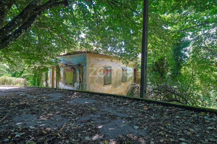 Quinta T7 para Venda em Figueiró dos Vinhos e Bairradas Foto 1