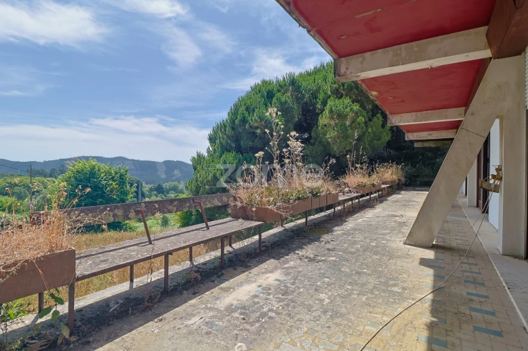 Quinta T7 para Venda em Figueiró dos Vinhos e Bairradas Foto 7