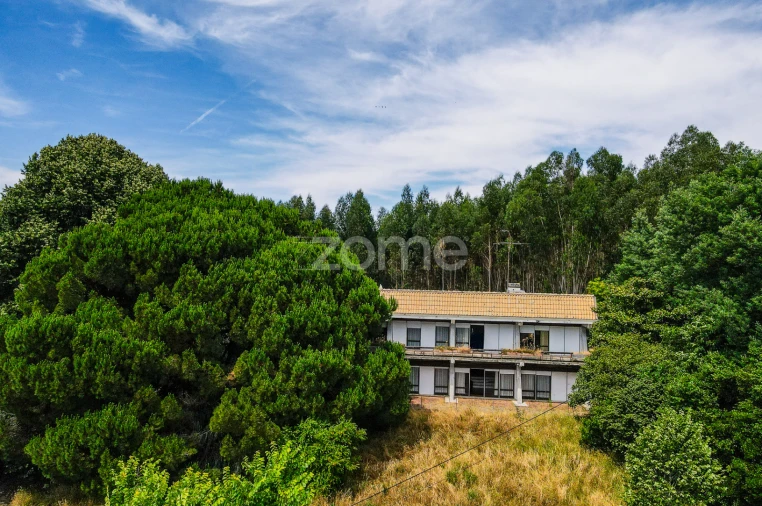 Quinta T7 para Venda em Figueiró dos Vinhos e Bairradas Foto 42