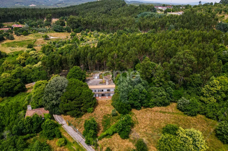 Quinta T7 para Venda em Figueiró dos Vinhos e Bairradas Foto 43