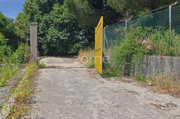 Quinta T7 para Venda em Figueiró dos Vinhos e Bairradas Foto 8